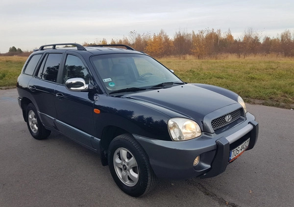 Hyundai Santa Fe cena 16600 przebieg: 224617, rok produkcji 2004 z Tarnów małe 277